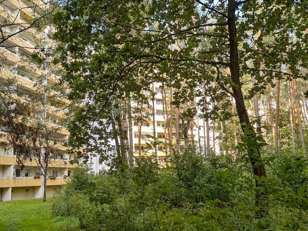 Foto eines Innenhofes im Salvador-Allende-Viertel II, in dem Kiefern und Laubbäume wachsen