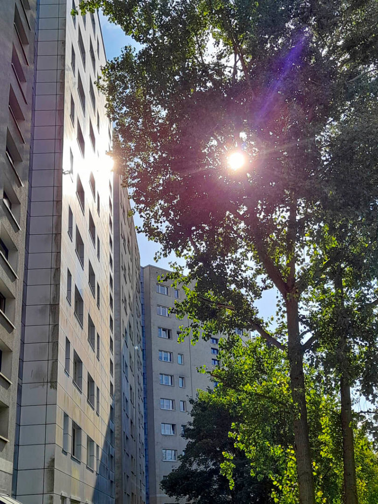 Foto eines Plattenbaus in Marzahn. Das Hochhaus spiegelt das Sonnenlicht